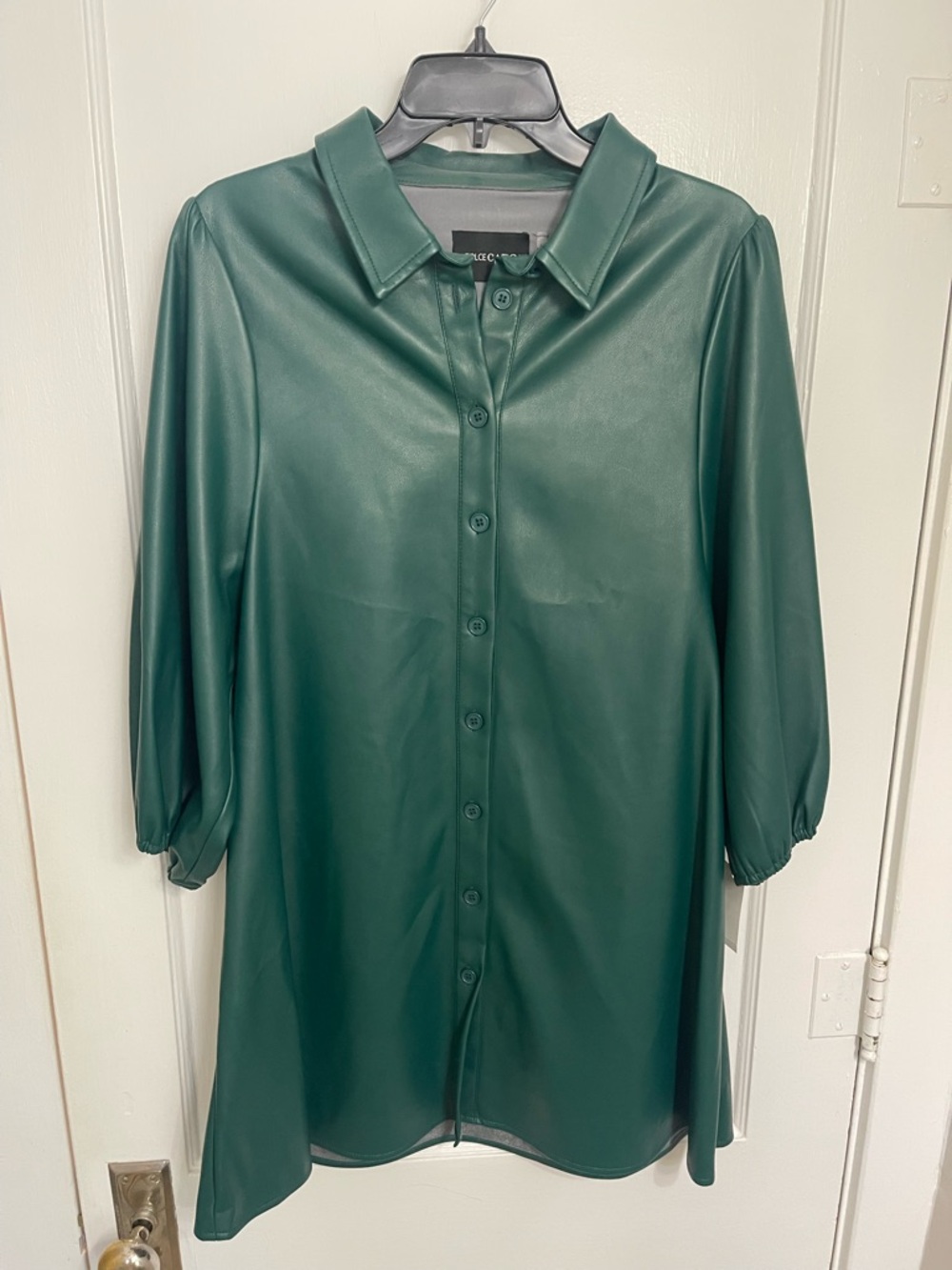Dolce Cabo Forest Green Faux Leather Mini Shirt Dress